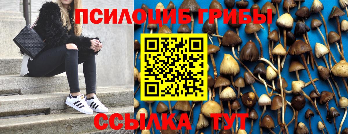 Галлюциногенные грибы мухоморы Долгопрудный