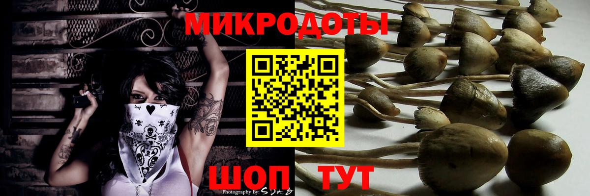 что такое   Галлюциногенные грибы GOLDEN TEACHER  Галлюциногенные грибы Magic Shrooms  Вход с VPN  Долгопрудный 